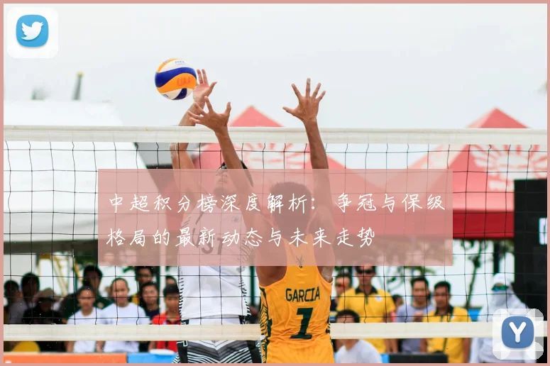 中超积分榜深度解析：争冠与保级格局的最新动态与未来走势