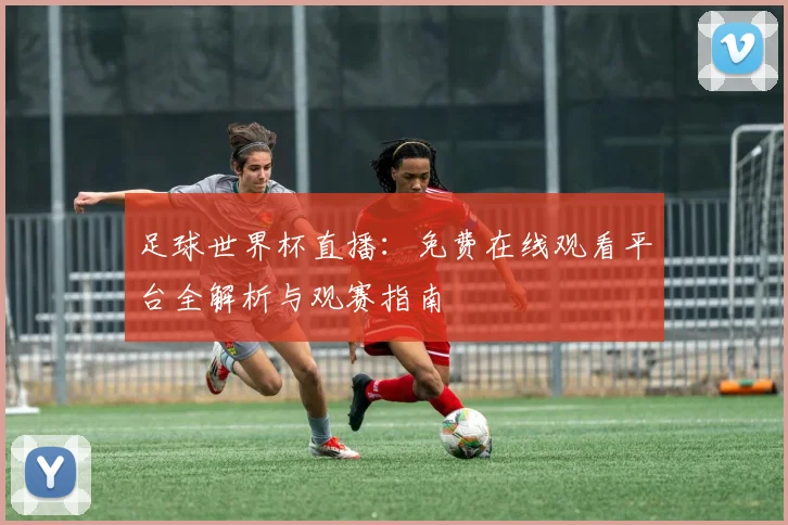 足球世界杯直播:免费在线观看平台全解析与观赛指南